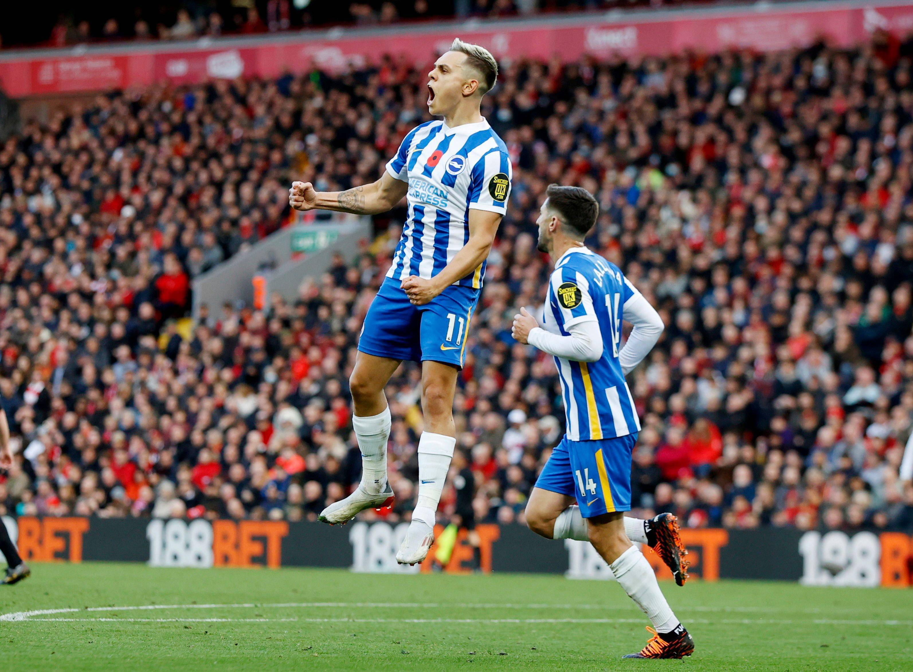 鼓励学生从 鼓励学生从